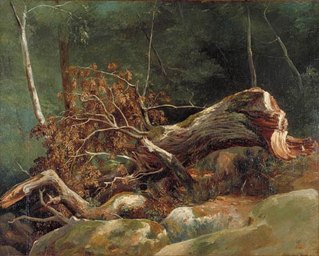The Fallen Branch, Fountainebleau